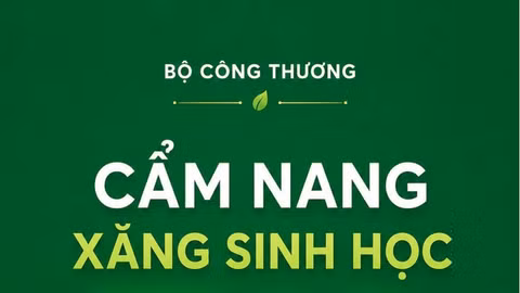 Cẩm nang sử dụng xăng sinh học E10