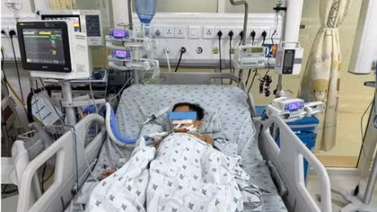 Ăn thịt chuột, ba chị em nguy kịch do ngộ độc 