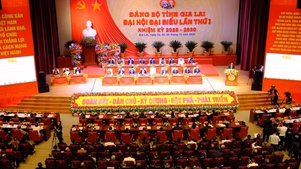 Thượng tướng Thái Đại Ngọc giữ chức Bí thư Tỉnh ủy Gia Lai