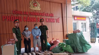 Khởi tố 4 đối tượng mua bán 242 kg ngà voi 