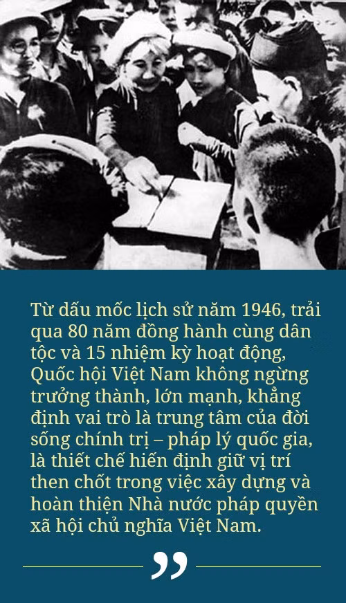 3-3132.jpg