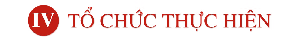 iv.png