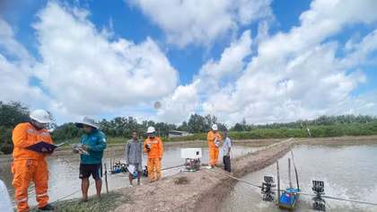 Tai nạn điện và những hậu quả khôn lường do chủ quan gây ra