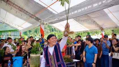 Đà Nẵng đưa "quốc bảo" Sâm Ngọc Linh bước ra thế giới