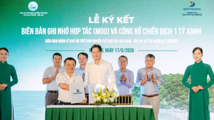 “1 tỷ xanh” tiếp sức hành trình bảo tồn thiên nhiên Cù Lao Chàm