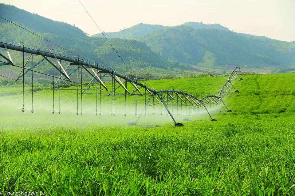 Cánh tay tưới công nghệ cao trên những cánh đồng cỏ của Tập đoàn TH.