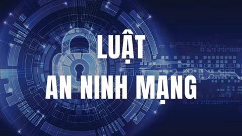 Nâng cao vai trò và trách nhiệm xã hội của doanh nghiệp trong môi trường số