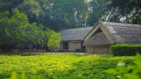Ngày Bác trở về