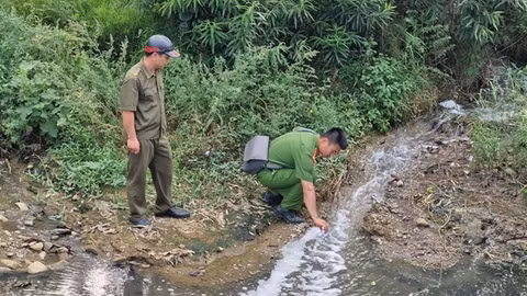 Công ty TNHH BOB Hà Nội bị xử phạt hơn 1,5 tỉ đồng vì xả thải bẩn