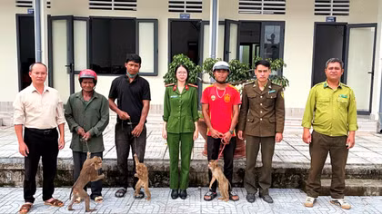 Tự nguyện giao nộp 4 cá thể khỉ 