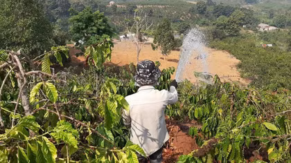 Cao điểm mùa mưa nhưng ao hồ ở Lâm Đồng vẫn cạn nước