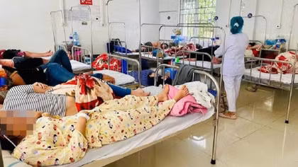 Xác định nguyên nhân dẫn đến 254 người ngộ độc sau khi ăn bánh mì