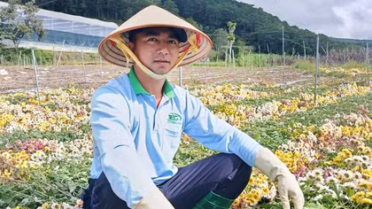  Nông sản Đà Lạt còn đó những nỗi lo
