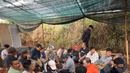 Triệt phá tụ điểm đá gà ăn tiền trong khu nhà kính