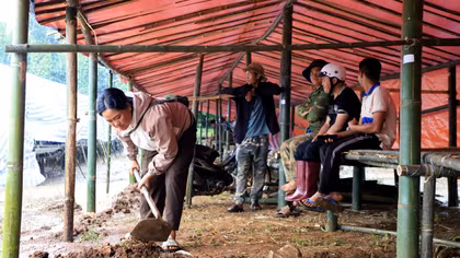 Lâm Đồng: Di dời, bảo đảm an toàn cho người dân ở vùng sạt lở 