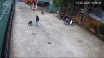 Truy tìm đối tượng chích điện tấn công nhiều người ở Phú Quốc