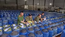Khởi tố, bắt tạm giam 4 đối tượng sản xuất 3.500 tấn giá đỗ ngâm hóa chất