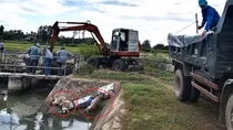 Ô nhiễm nghiêm trọng vì xác lợn chết vứt bừa xuống kênh mương