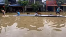Lên phương án bảo vệ các đê điều xung yếu