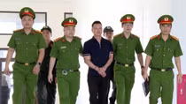 Khởi tố vợ chồng Vi "ngộ” về tội trốn thuế