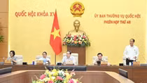 Thủ tướng được áp dụng các biện pháp của tình trạng khẩn cấp để xử lý các sự cố, tình huống cấp bách