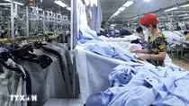 Thành lập Đoàn đàm phán Chính phủ về các vấn đề thương mại với Hoa Kỳ