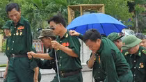 Thẩm thấu giá trị của hòa bình