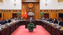 Xây dựng chính sách vượt trội, cạnh tranh để thí điểm một số khu thương mại tự do