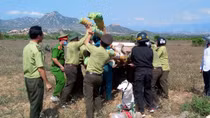 Phát dọn cây cỏ rồi tấn công nhân viên bảo vệ rừng