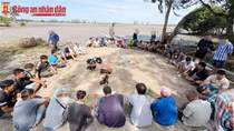 Triệt phá trường gà, tạm giữ 23 đối tượng