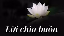 Lời chia buồn
