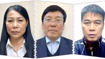 Liêm, chính trong hội thảo, Hậu "Pháo" ở ngoài đời