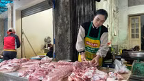 Giá lợn hơi miền Bắc tăng cao nhất ở mức 69.000 đồng/kg