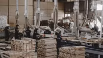 Doanh nghiệp xuất khẩu gỗ chủ động ứng phó trước nguy cơ Mỹ tăng thuế