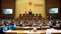 Cử tri ghi nhận lực lượng Công an tấn công mạnh mẽ tội phạm lừa đảo qua mạng, buôn bán hàng giả