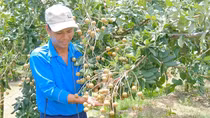 Sản xuất sạch chinh phục thị trường