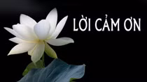 Lời cảm ơn