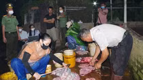 Cơ sở giết mổ gần 3 tấn thịt lợn dương tính với virus dịch tả lợn châu Phi