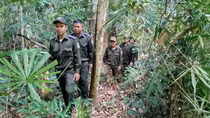 Tăng cường tuần tra, bảo vệ rừng dịp cuối năm