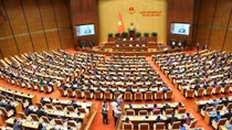 Đại biểu Quốc hội kiến nghị đưa đấu giá biển số xe vào Luật Đấu giá tài sản (sửa đổi)