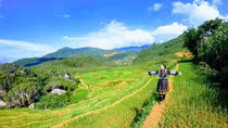 Miền quê của mỗi chúng ta