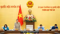 Bổ sung Luật Thuế thu nhập cá nhân và Luật Xử lý vi phạm hành chính vào "Luật sửa 7 luật"