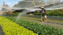 Nhiều quỹ tài chính nhà nước ngoài ngân sách hoạt động chưa hiệu quả