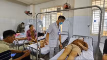 Gần 550 người bị ngộ độc do ăn bánh mì có vi khuẩn Salmonella