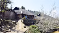 Du xuân trên rẻo cao