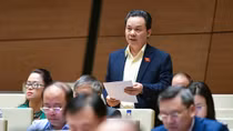 Ngăn chặn việc thao túng, sử dụng các phiên đấu giá quyền sử dụng đất nhằm tạo "sốt" giá