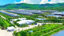 Người dân hưởng lợi gì khi doanh nghiệp làm “NET ZERO”?