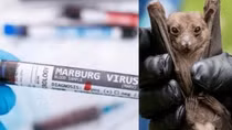Tăng cường kiểm dịch, ngăn chặn ca bệnh Marburg từ cửa khẩu
