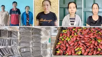 Triệt phá đường dây mua bán vật liệu nổ từ Tây Nguyên về Thanh Hóa tiêu thụ