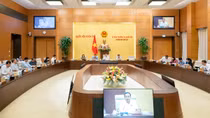 Tình trạng "bỏ cọc" sau khi trúng đấu giá tái diễn, tác động tiêu cực đến mặt bằng giá và thị trường nhà ở